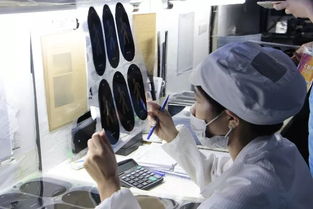 色彩大会第二日 众企业齐聚思明通崯涛油墨工厂，实地参观学习与深度技术交流